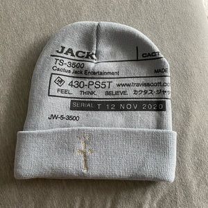 Playstation X Cactus Jack Beanie | Poshmark